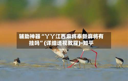 辅助神器“丫丫江西麻将奉新麻将有挂吗”(详细透视教程)-知乎-第1张图片