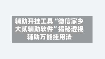 辅助开挂工具“微信家乡大贰辅助软件”揭秘透视辅助万能挂用法-第1张图片