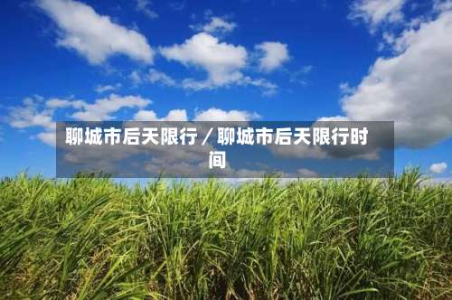 聊城市后天限行/聊城市后天限行时间-第1张图片