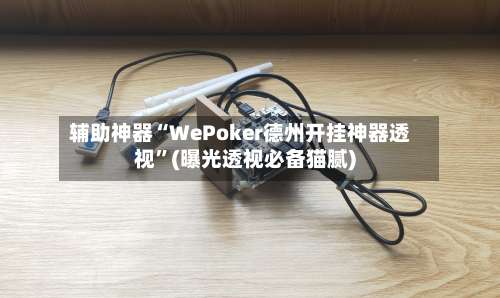 辅助神器“WePoker德州开挂神器透视”(曝光透视必备猫腻)-第1张图片