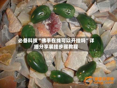 必备科技“佛手在线可以开挂吗	”详细分享装挂步骤教程-第2张图片