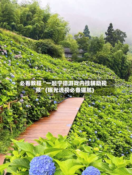 必看教程“一起宁德游戏内挂辅助视频”(曝光透视必备猫腻)-第2张图片