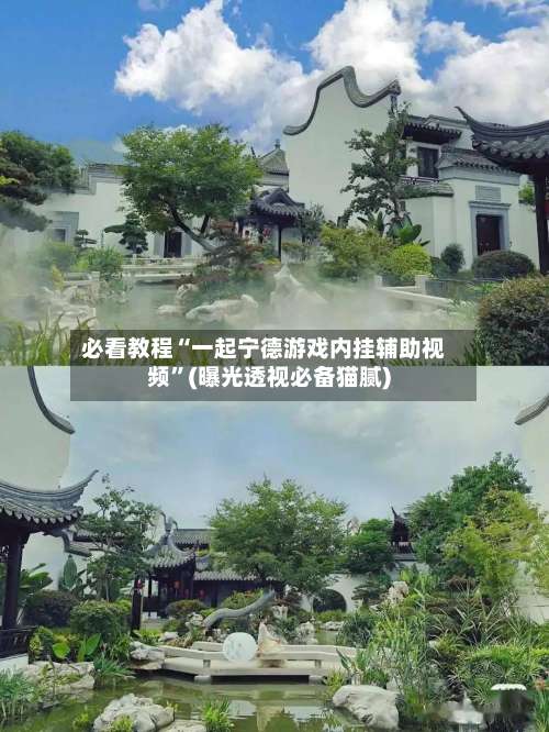 必看教程“一起宁德游戏内挂辅助视频	”(曝光透视必备猫腻)-第1张图片