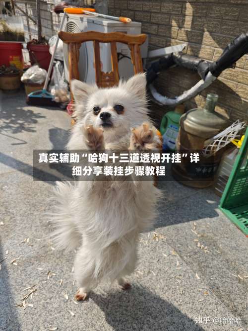 真实辅助“哈狗十三道透视开挂	”详细分享装挂步骤教程-第2张图片