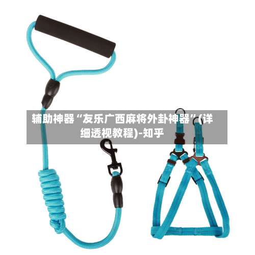 辅助神器“友乐广西麻将外卦神器	”(详细透视教程)-知乎-第1张图片