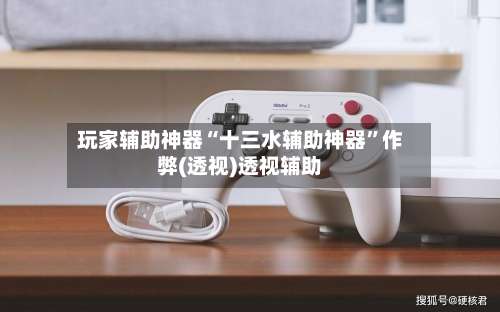 玩家辅助神器“十三水辅助神器	”作弊(透视)透视辅助-第1张图片