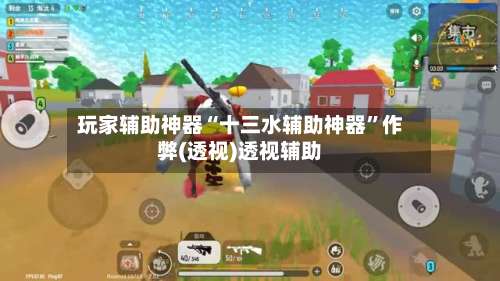 玩家辅助神器“十三水辅助神器”作弊(透视)透视辅助-第3张图片