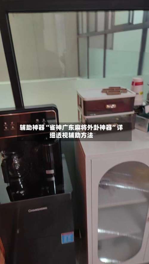 辅助神器“雀神广东麻将外卦神器”详细透视辅助方法-第1张图片