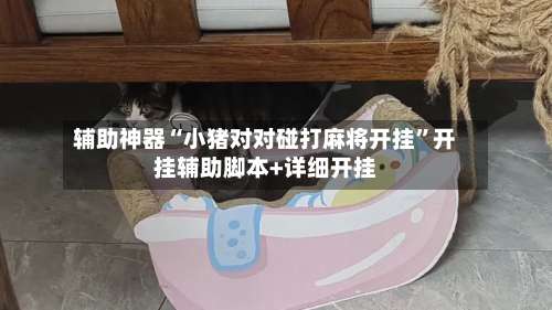 辅助神器“小猪对对碰打麻将开挂”开挂辅助脚本+详细开挂-第1张图片