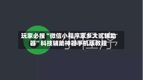 玩家必搜“微信小程序家乡大贰辅助器”科技辅助神器手机版教程-第2张图片