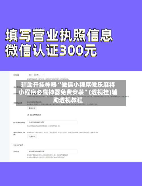 辅助开挂神器“微信小程序微乐麻将小程序必赢神器免费安装”(透视挂)辅助透视教程-第2张图片