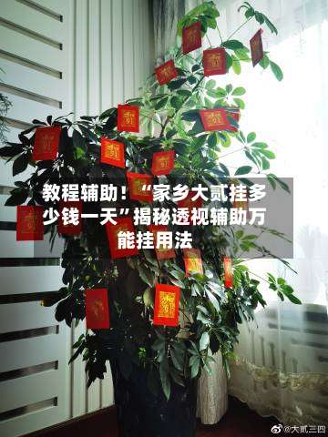 教程辅助！“家乡大贰挂多少钱一天”揭秘透视辅助万能挂用法-第1张图片