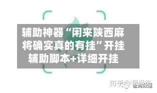 辅助神器“闲来陕西麻将确实真的有挂	”开挂辅助脚本+详细开挂-第1张图片