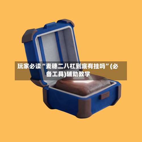 玩家必读“麦穗二八杠到底有挂吗”(必备工具)辅助教学-第1张图片