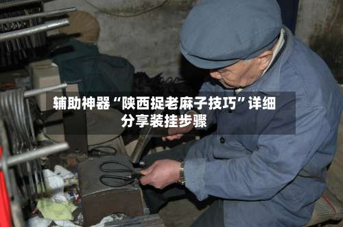 辅助神器“陕西捉老麻子技巧	”详细分享装挂步骤-第2张图片