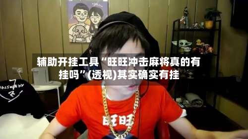 辅助开挂工具“旺旺冲击麻将真的有挂吗”(透视)其实确实有挂-第1张图片