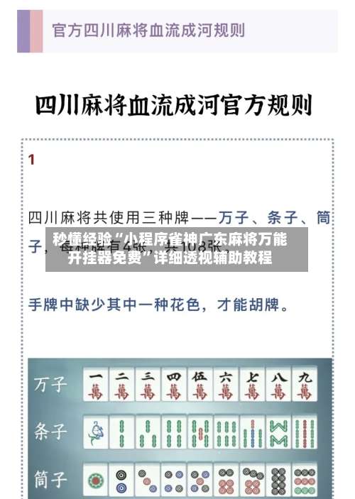 秒懂经验“小程序雀神广东麻将万能开挂器免费”详细透视辅助教程-第1张图片