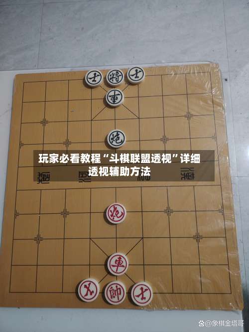 玩家必看教程“斗棋联盟透视”详细透视辅助方法-第2张图片