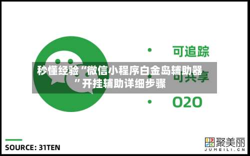 秒懂经验“微信小程序白金岛辅助器”开挂辅助详细步骤-第1张图片