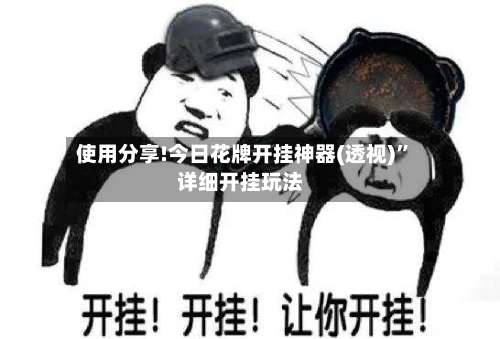 使用分享!今日花牌开挂神器(透视)”详细开挂玩法-第2张图片