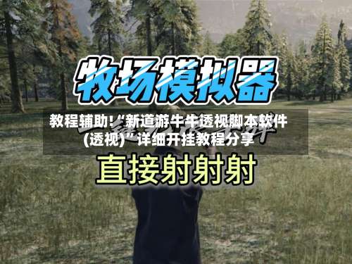 教程辅助!“新道游牛牛透视脚本软件(透视)”详细开挂教程分享-第2张图片