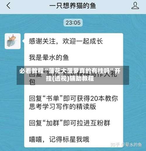 必看教程“蒲花大菠萝真的有挂吗”开挂(透视)辅助教程-第2张图片