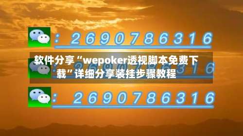 软件分享“wepoker透视脚本免费下载”详细分享装挂步骤教程-第2张图片