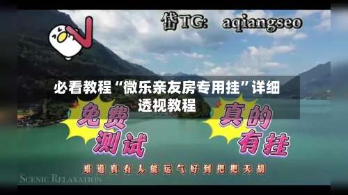 必看教程“微乐亲友房专用挂”详细透视教程-第1张图片