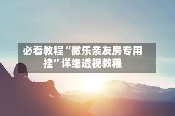 必看教程“微乐亲友房专用挂”详细透视教程-第3张图片