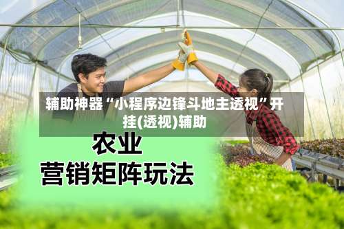 辅助神器“小程序边锋斗地主透视”开挂(透视)辅助-第1张图片