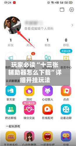 玩家必读“十三张辅助器怎么下载”详细开挂玩法-第1张图片