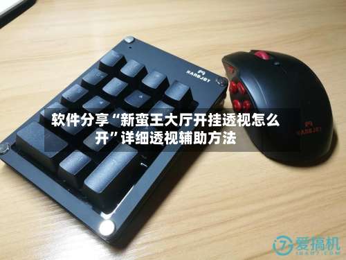 软件分享“新蛮王大厅开挂透视怎么开”详细透视辅助方法-第2张图片