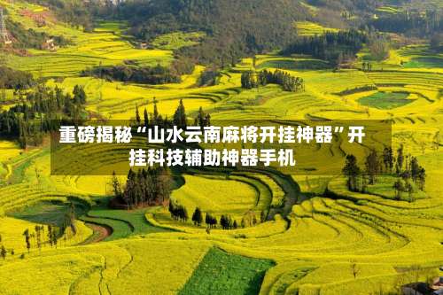 重磅揭秘“山水云南麻将开挂神器”开挂科技辅助神器手机-第2张图片