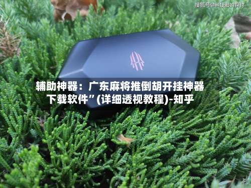 辅助神器：广东麻将推倒胡开挂神器下载软件”(详细透视教程)-知乎-第1张图片