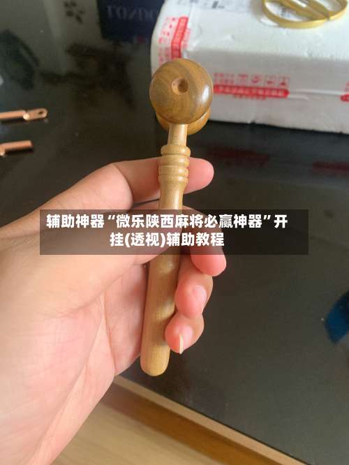辅助神器“微乐陕西麻将必赢神器”开挂(透视)辅助教程-第1张图片
