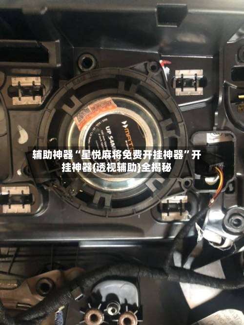 辅助神器“星悦麻将免费开挂神器”开挂神器{透视辅助}全揭秘-第1张图片