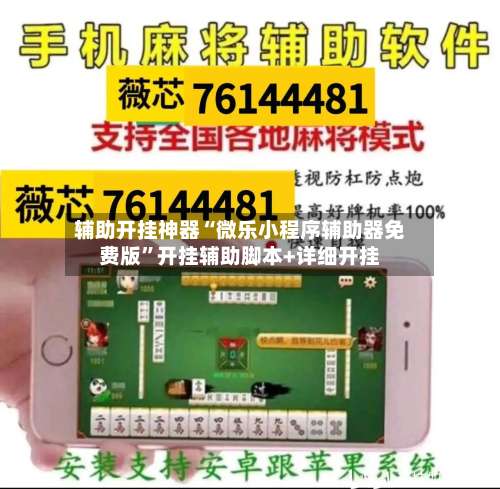 辅助开挂神器“微乐小程序辅助器免费版	”开挂辅助脚本+详细开挂-第2张图片