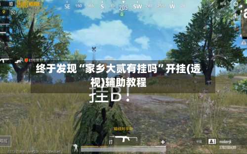 终于发现“家乡大贰有挂吗”开挂(透视)辅助教程-第2张图片