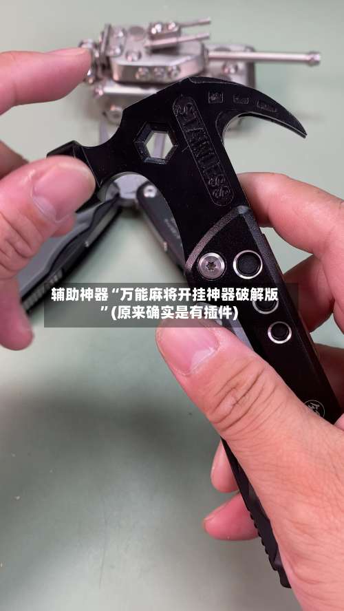 辅助神器“万能麻将开挂神器破解版	”(原来确实是有插件)-第2张图片