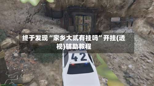 终于发现“家乡大贰有挂吗”开挂(透视)辅助教程-第3张图片