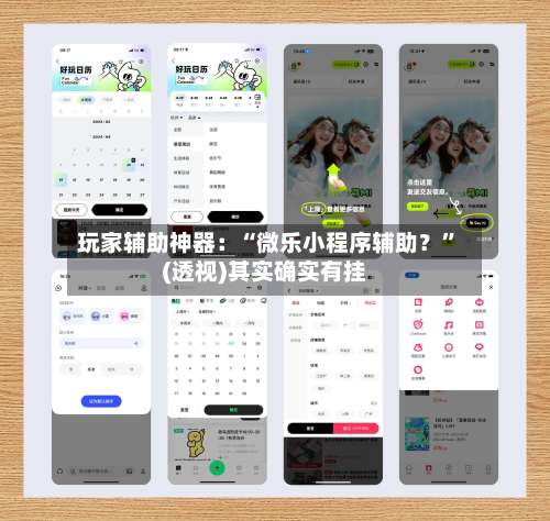 玩家辅助神器：“微乐小程序辅助？”(透视)其实确实有挂-第2张图片