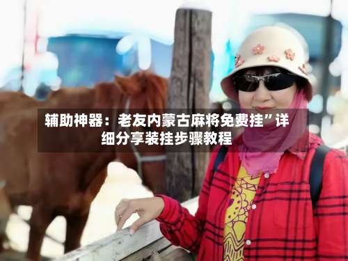 辅助神器：老友内蒙古麻将免费挂	”详细分享装挂步骤教程-第2张图片