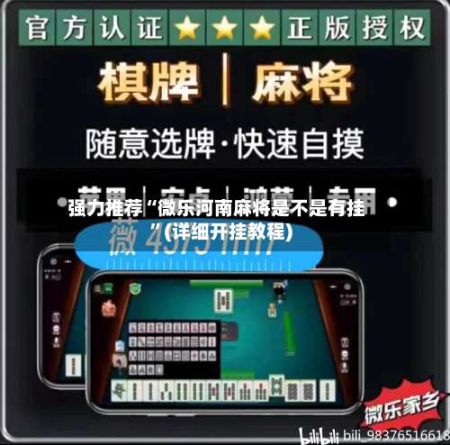 强力推荐“微乐河南麻将是不是有挂”(详细开挂教程)-第3张图片