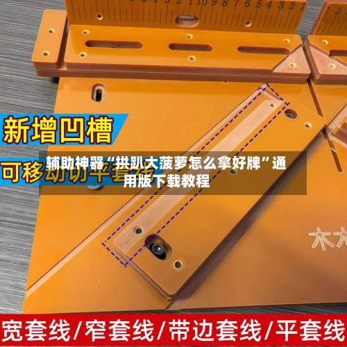 辅助神器“拱趴大菠萝怎么拿好牌	”通用版下载教程-第3张图片