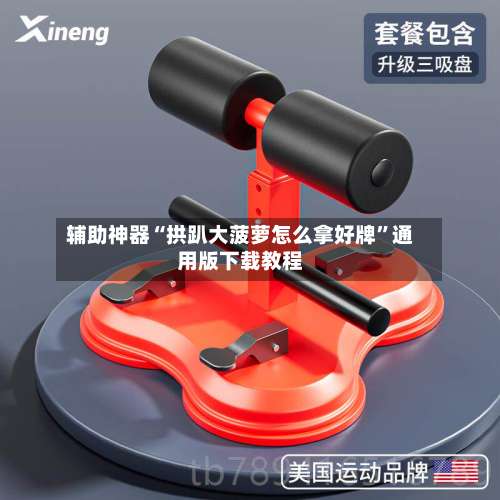 辅助神器“拱趴大菠萝怎么拿好牌”通用版下载教程-第2张图片