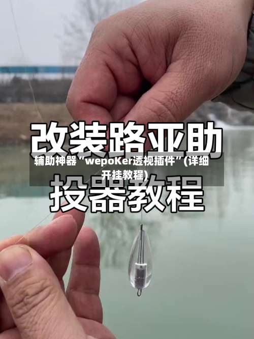 辅助神器“wepoKer透视插件	”(详细开挂教程)-第3张图片