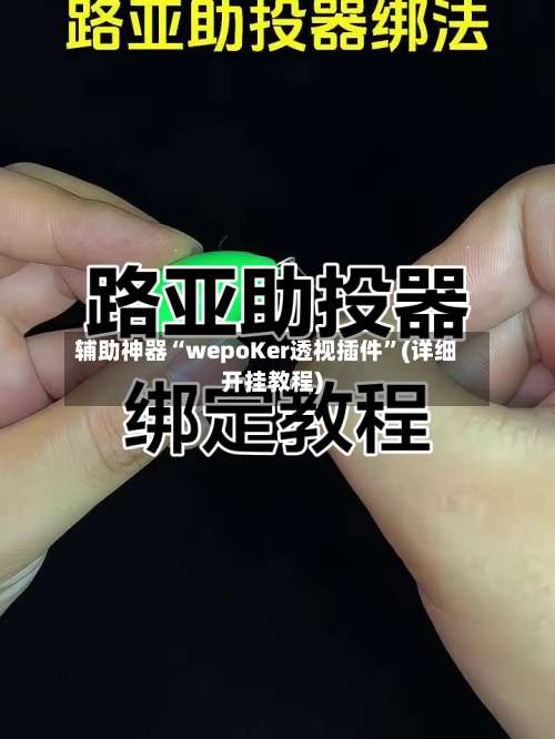 辅助神器“wepoKer透视插件”(详细开挂教程)-第2张图片