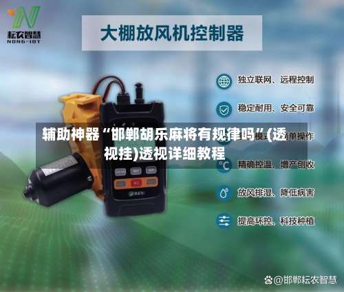 辅助神器“邯郸胡乐麻将有规律吗”(透视挂)透视详细教程-第1张图片