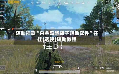辅助神器“白金岛跑胡子辅助软件	”开挂(透视)辅助教程-第1张图片