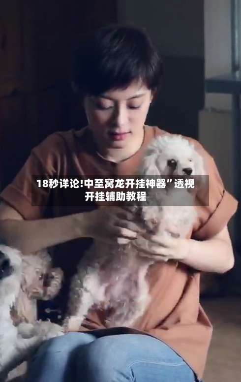 18秒详论!中至窝龙开挂神器”透视开挂辅助教程-第2张图片